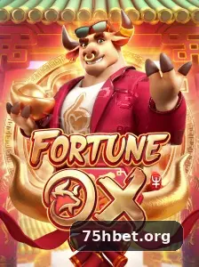 75h login